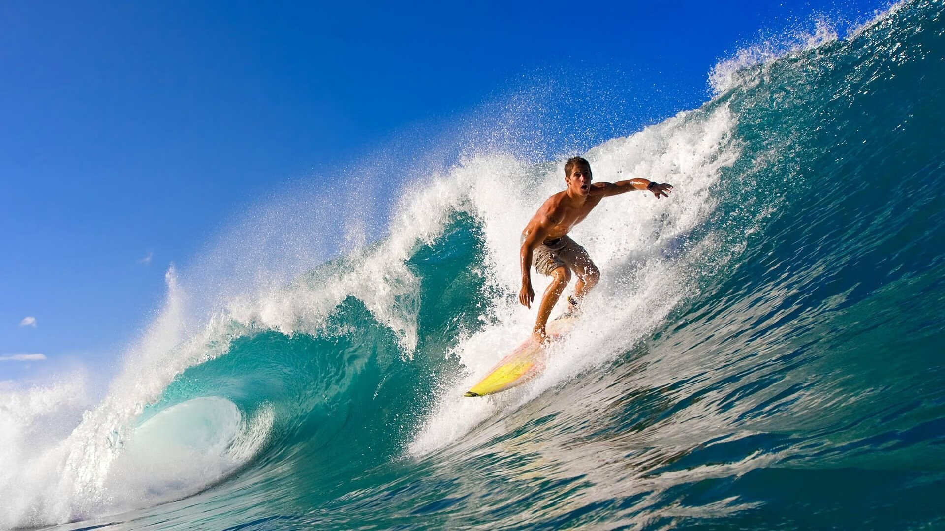 体育赛事年度热点盘点